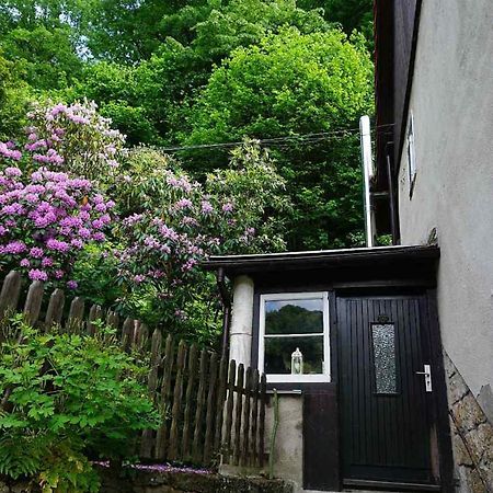 Ferienwohnung Im Gruenen Elbtal Stadt Wehlen Bagian luar foto